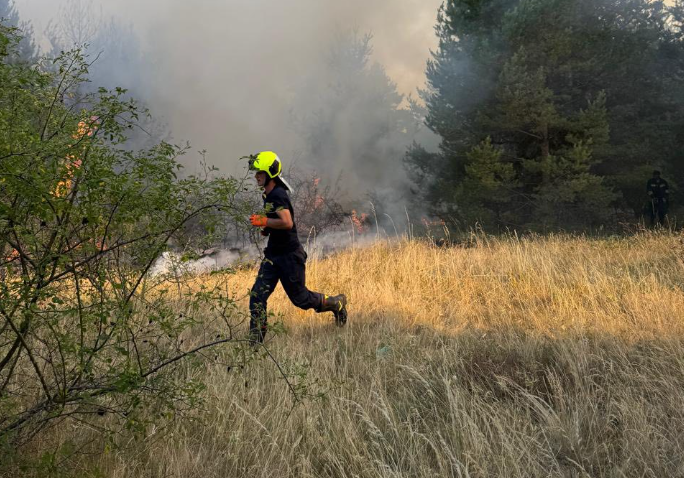 Zjarri përfshin fshatin Pakashticë të Podujevës, digjet një sipërfaqe me pisha 