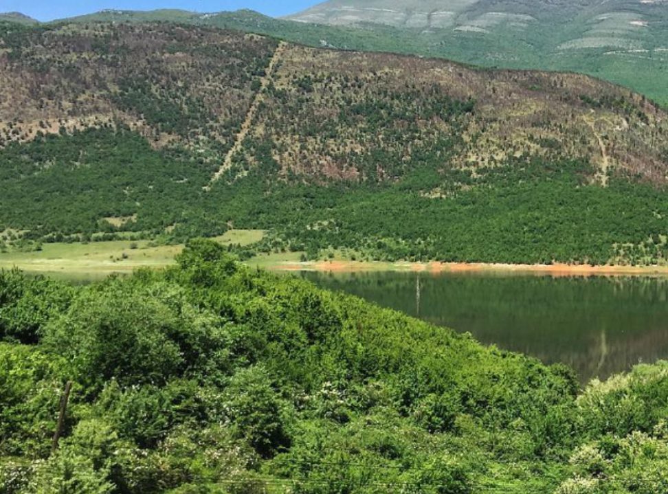 Aktakuzë ndaj Muhamed Alashban për vrasjen e irakianit në Vërmicë