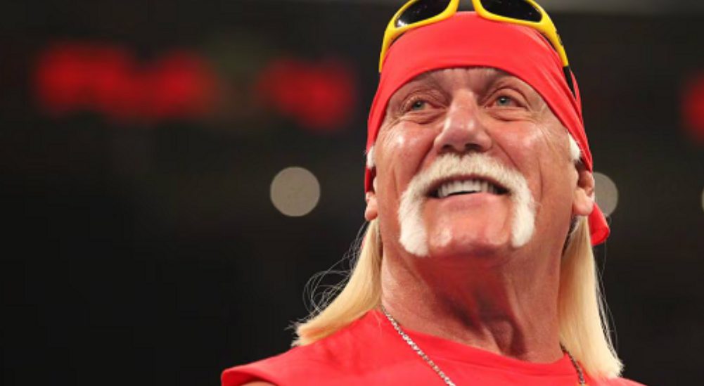 Vdes legjenda e mundjes, Hulk Hogan