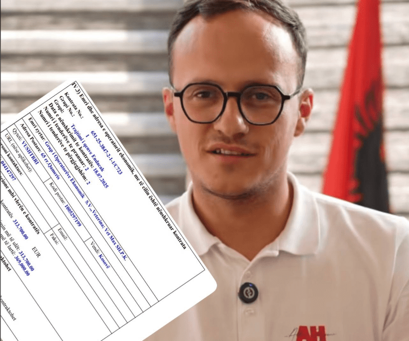 Komuna e Gjilanit jep mijëra euro për trajtimin e qenve endacak
