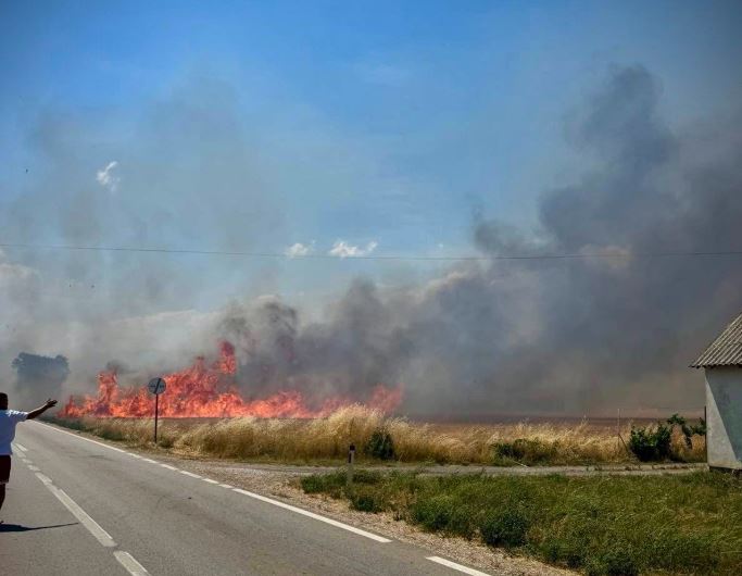Arrestohen dy persona, nga pakujdesia ndezën zjarre ku u dogjën 7 hektarë grurë