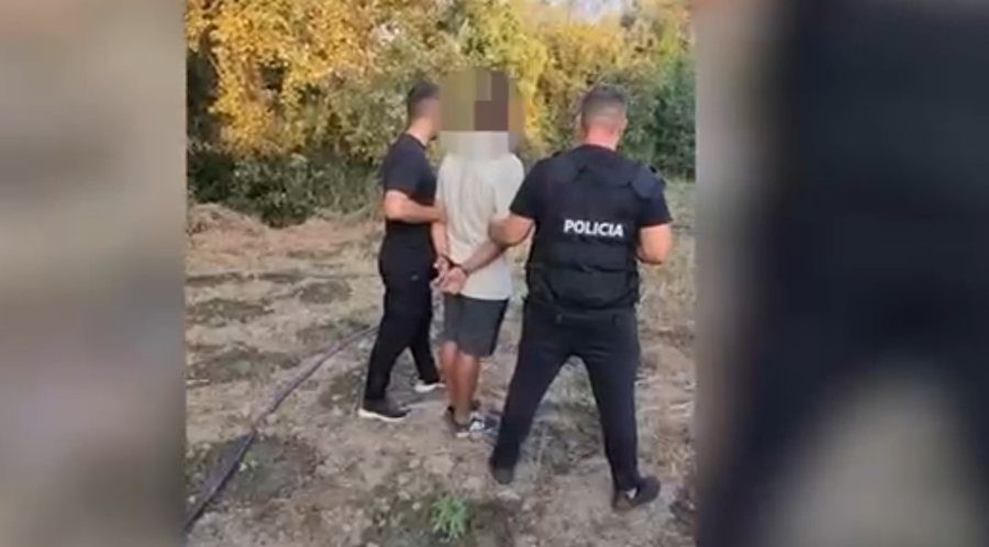 Krujë: Arrestohet 32-vjeçari, kapet duke kultivuar 110 bimë kanabisi
