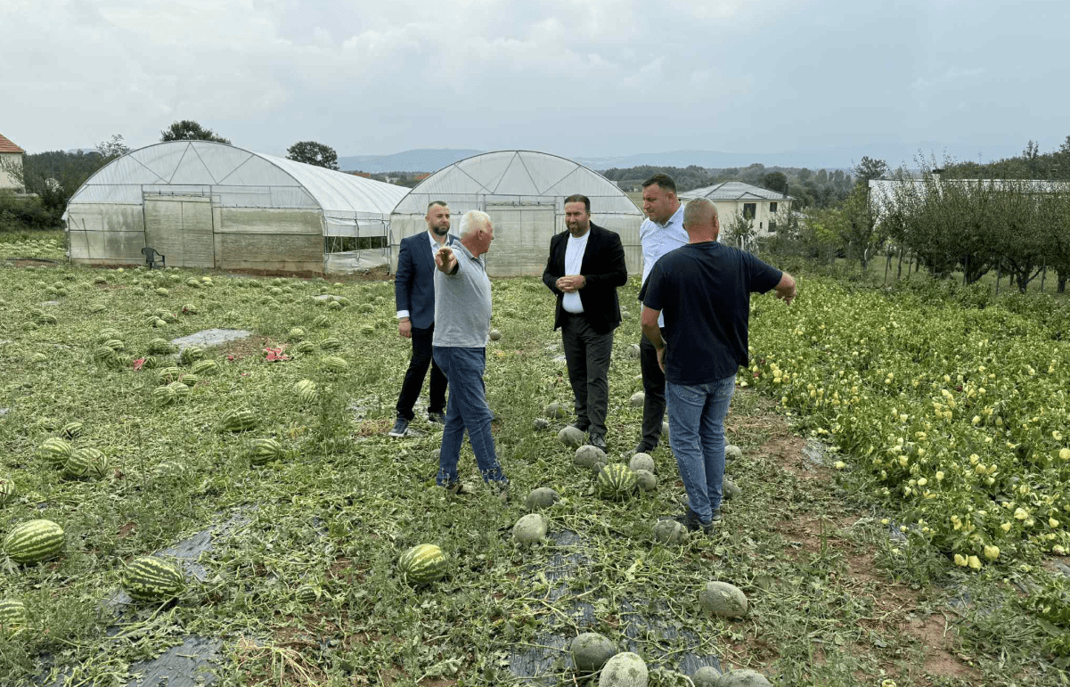 Zyrtarët në Ferizaj dalin për të vlerësuar dëmet nga breshëri