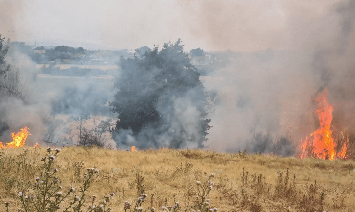 36 vatra zjarri sot në Kosovë, katër ende aktive