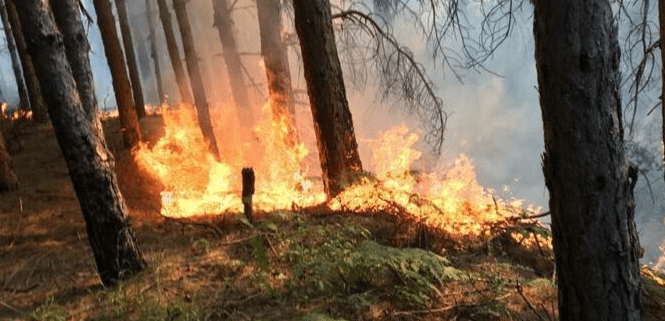 Një i vdekur e tetë të plagosur nga zjarret në disa fshatra në Gramsh