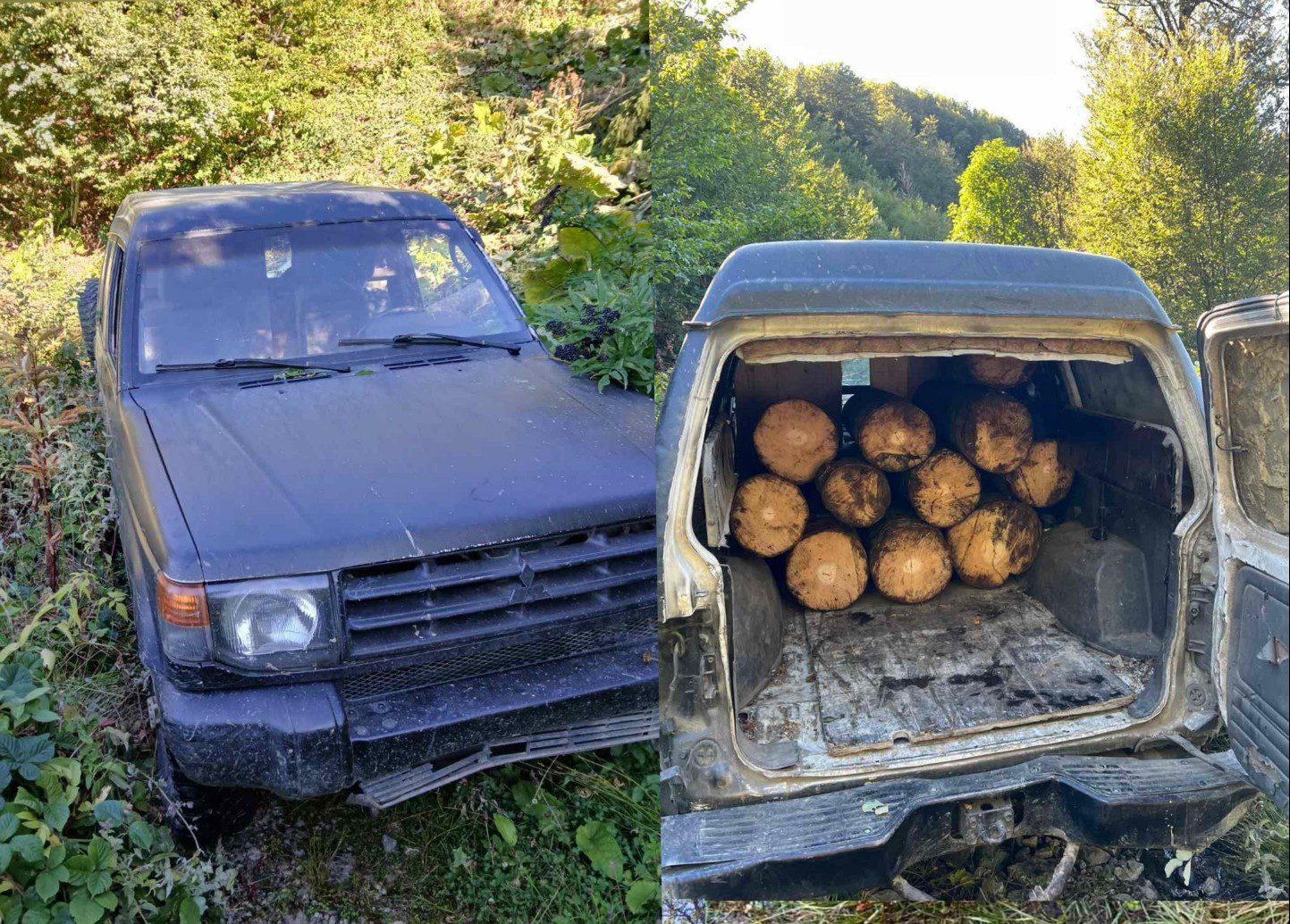 Aksion në Kaçanik e Ferizaj – Policia sekuestron automjete dhe drunj të prerë ilegalisht