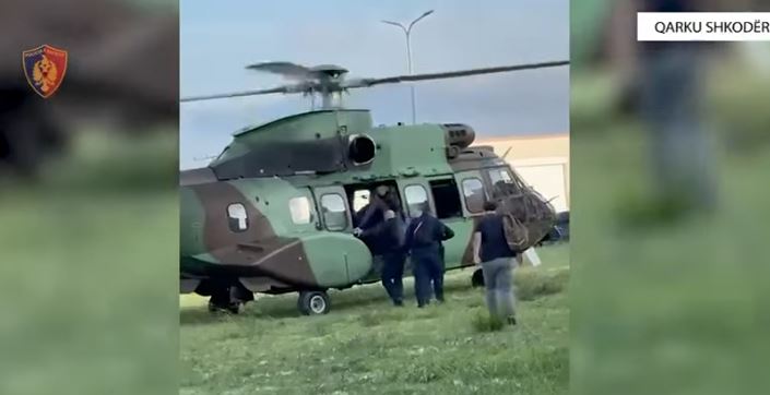 Policia me aksion në Shkodër, asgjëson mbi 1000 bimë kanabisi