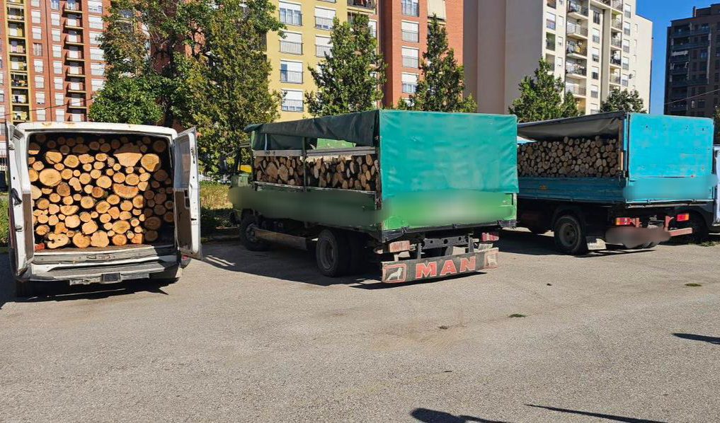 Policia në Ferizaj ndalon tri automjete që po transportonin dru ilegalisht
