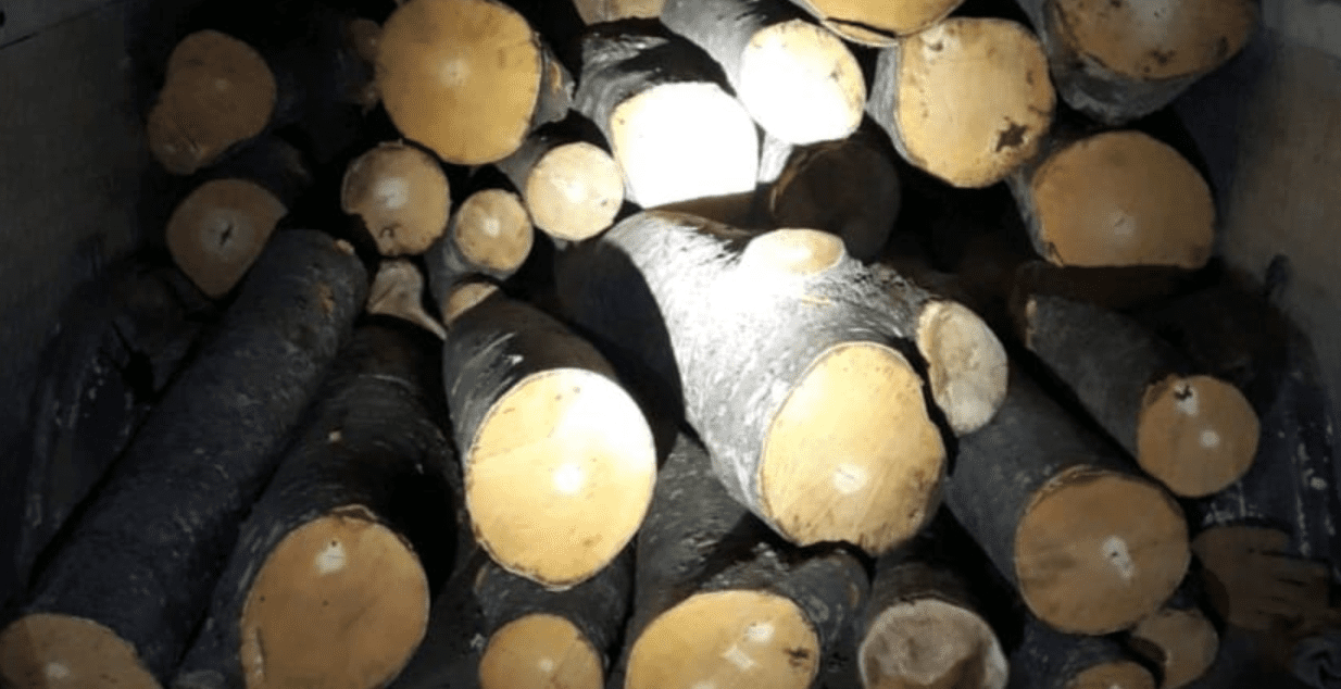 E urdhëruan të ndalej, shoferi i xhipit të ngarkuar me dru tentoi t’i godasë zyrtarët