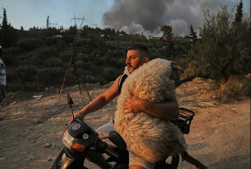 Një shqiptar në mesin e 12 fotove më ikonike të vitit 2025, sipas BBC-së