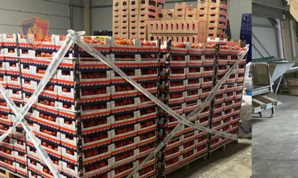 Kroacia bllokoi 8 tonë domate shqiptare me pesticide