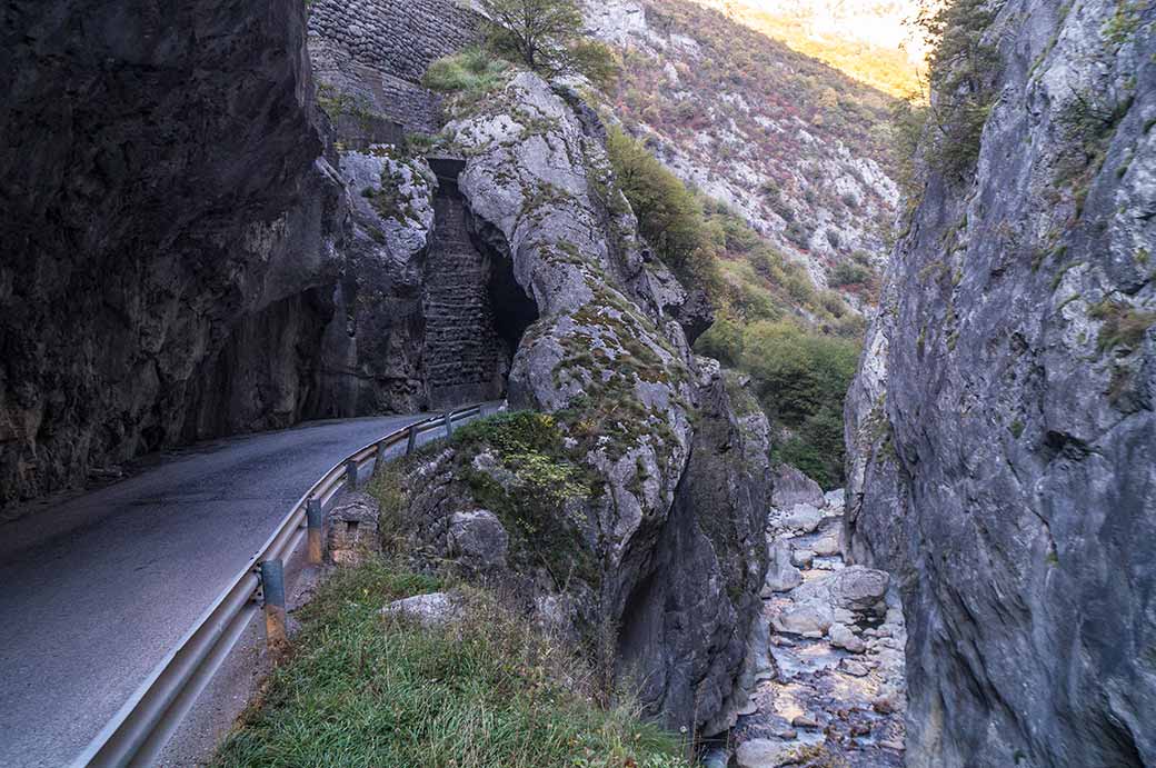 Detaje nga incidenti tragjik në Rugovë të Pejës, viktima është një grua