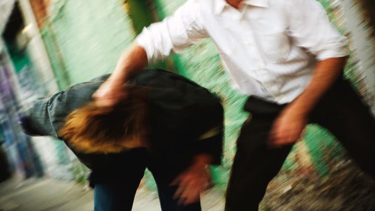 Istog: Rrihen dhëndri me baballëkun, bëhen për spital