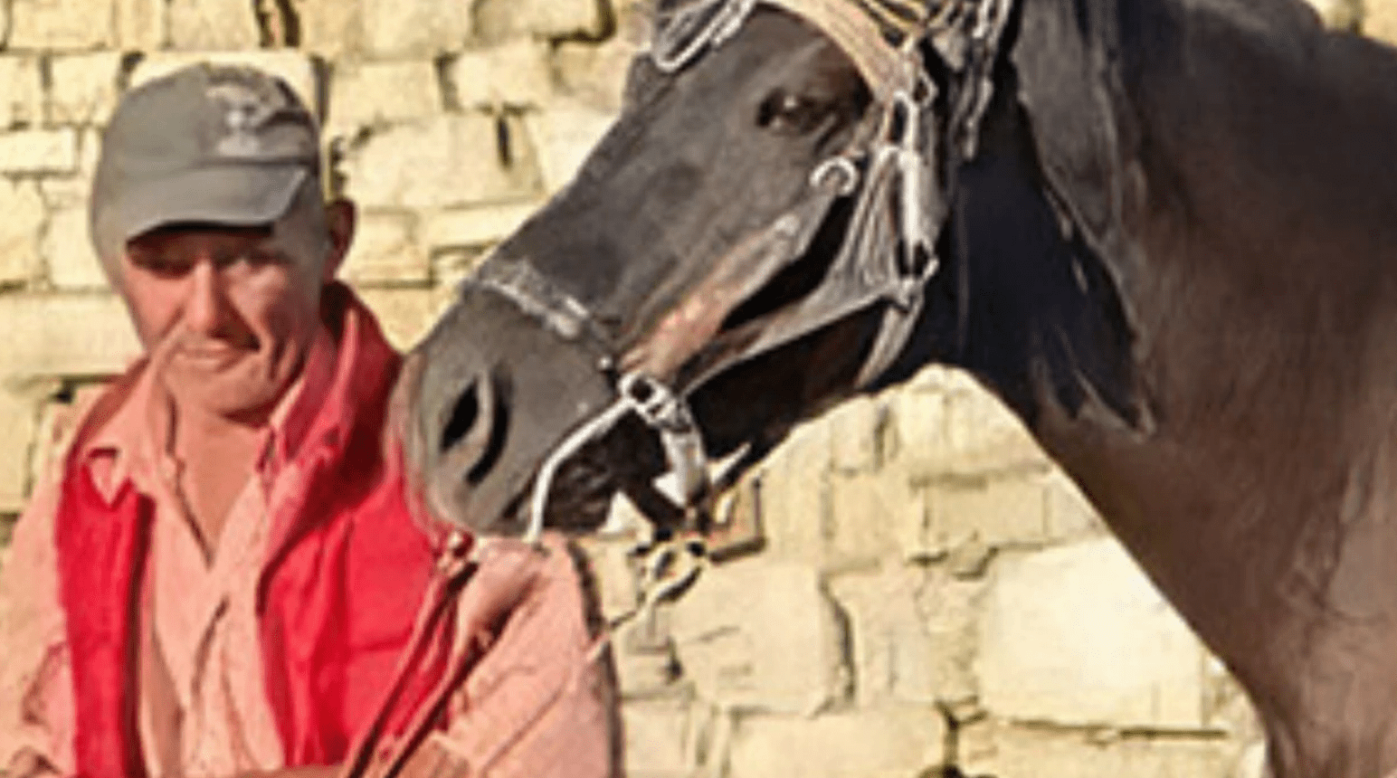 Vrasja në Kalanë e Beratit për një foto me kalin, zbardhet dëshmia e autorit