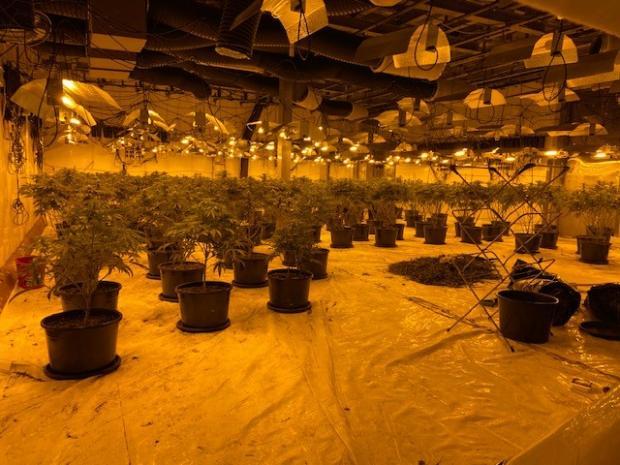 Policia zbulon një “shtëpi bari” në Shqipëri – Djali arrestohet, procedohet nëna dhe shpallet në kërkim babai