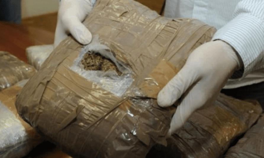 Kapen 215 kg marijuanë në Janinë, vihen në pranga tre shqiptarë