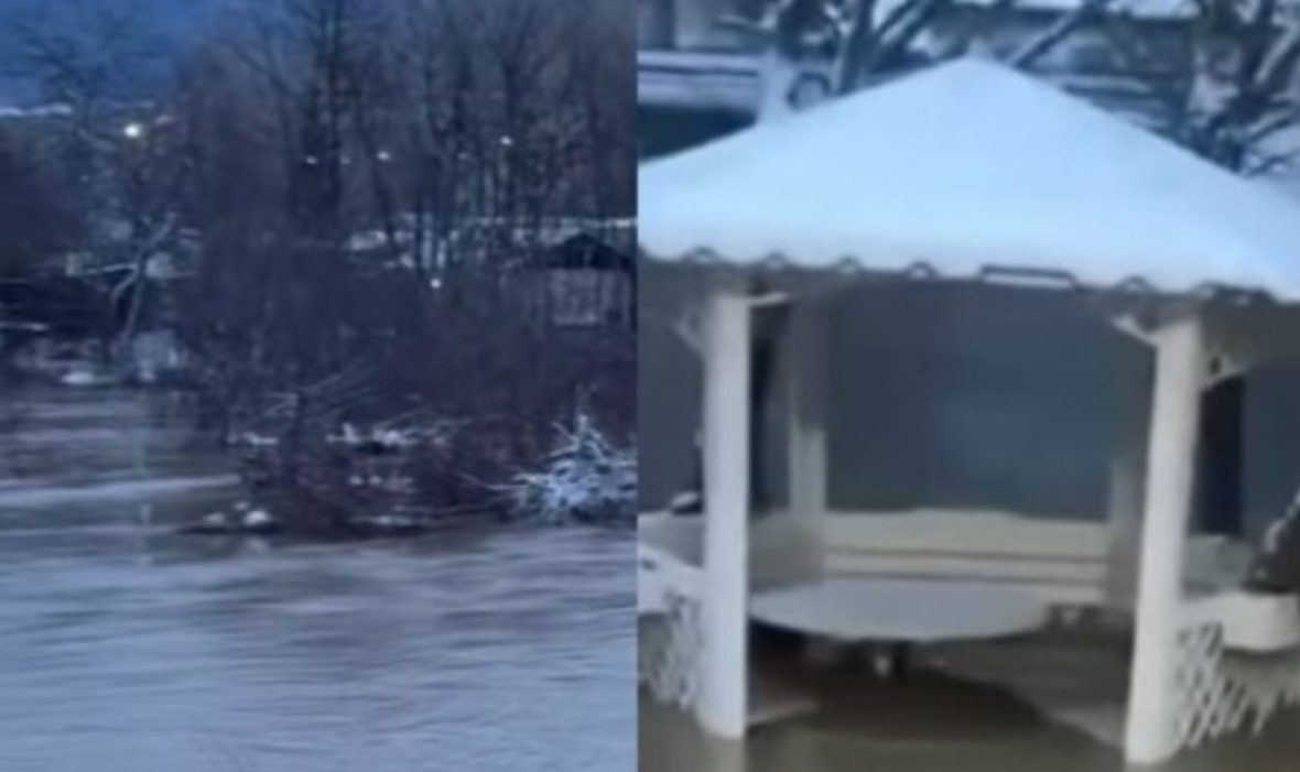 Sitnica del sërish nga shtrati