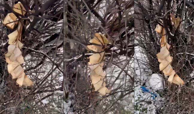 Dëmtimi i Kuranit në Gjakovë, aktivizohet Policia për ta zbuluar autorin e dyshuar