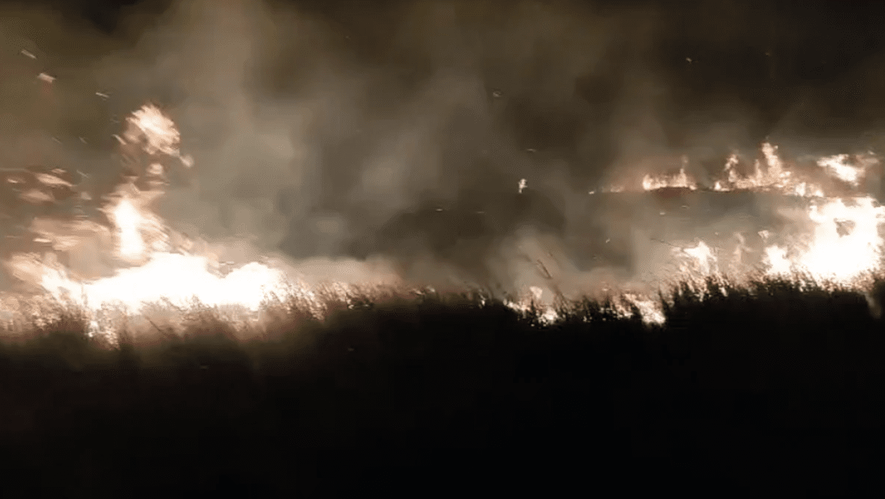 Zjarri kaplon zona të mëdha në Orikum