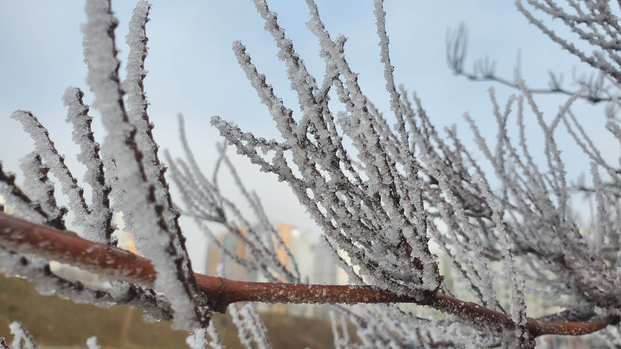 Mot i ftohtë të hënën: Ngrica dhe temperatura deri në -9