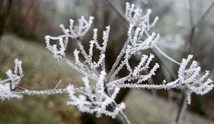 Parashikimi i motit për nesër