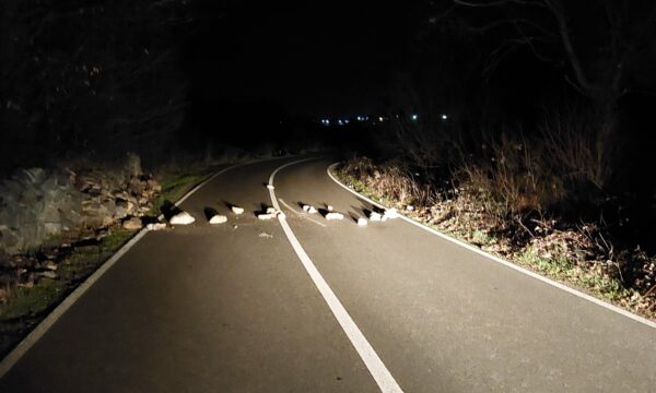 Arrestohet dhe dërgohet në mbajtje i dyshuari që vendosi gurë në një rrugë të Klinës