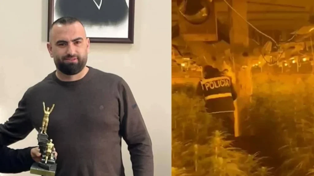 Magazina me 4 mijë rrënjë kanabis, lihet i lirë drejtori i burgut të Rrogozhinës