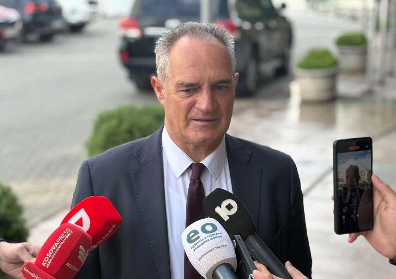 Nait Hasani tregon nëse do ta votonte Andin Hotin për president