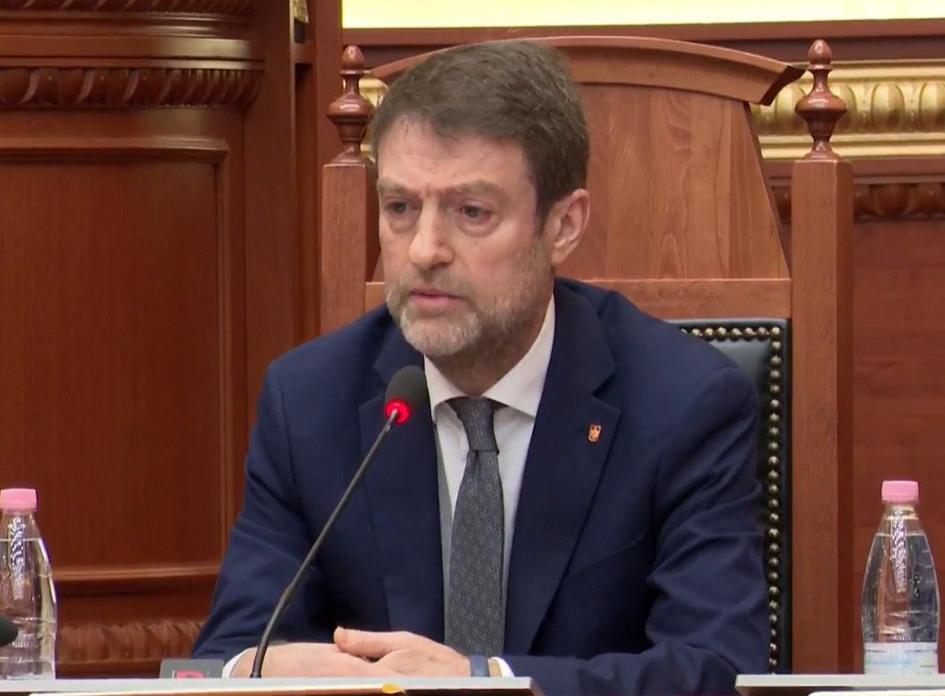 Kryediplomati shqiptar: Protesta e studentëve për gjuhën shqipe në RMV e drejtë, mos të politizohet