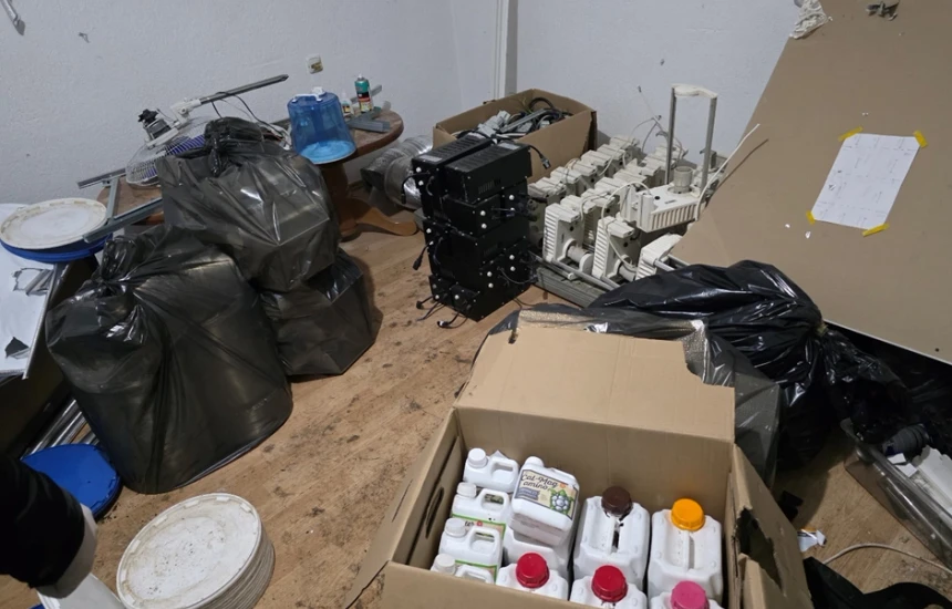 Bastisen disa lokacione në Prizren për kultivim të bimëve narkotike, arrestohen dy persona