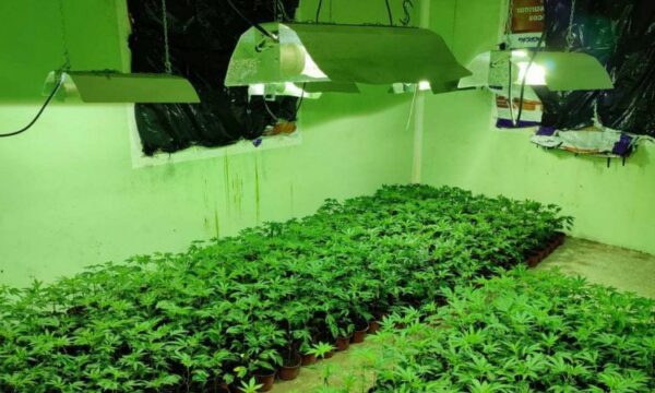 Laboratori i drogës që u zbulua sot në një fshat të Pejës ishte i kyçur ilegalisht në rrjetin elektrik