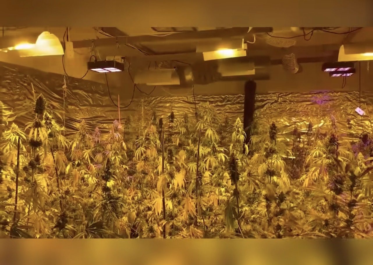 Asgjësohet droga, një person arrestohet në Pejë pas zbulimit të laboratorit