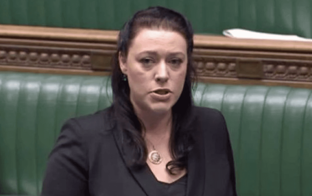 Shkurtimi i fondeve për Serbinë, deputetja britanike: Brukseli po zgjohet