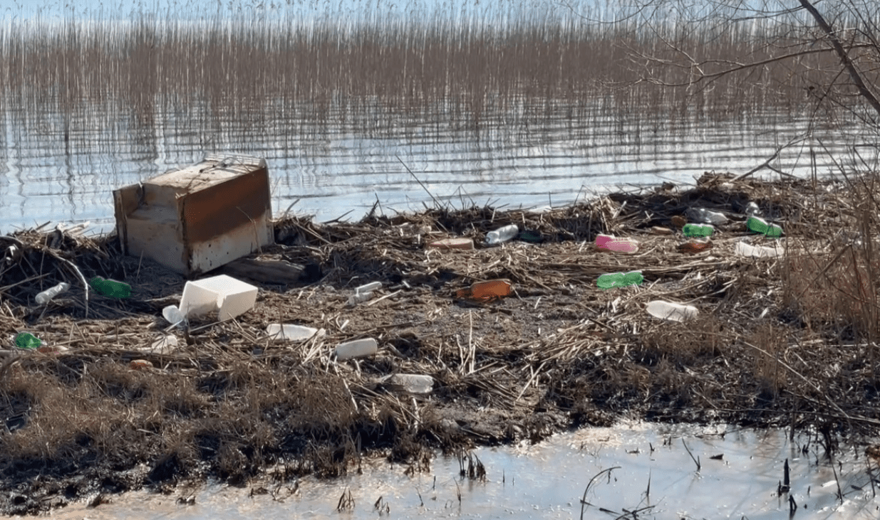 Biologët kërkojnë masa urgjente për mbrojtjen e Liqenit të Ohrit