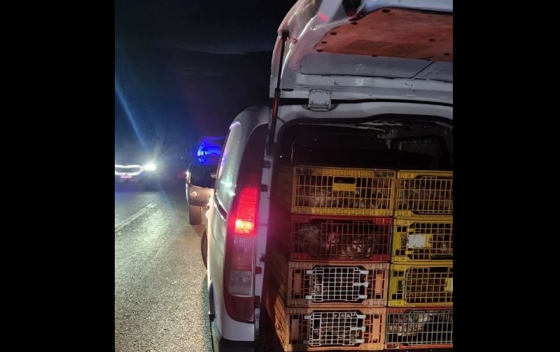 Ndalohet një rast kontrabandimi në rrugën Preshevë – Gjilan