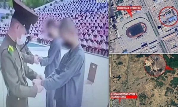 Ekzekutime brutale në Korenë e Veriut: Shtatzëna u qëllua dhe burri u vra sepse i la breshkat e vogla të ngordhnin