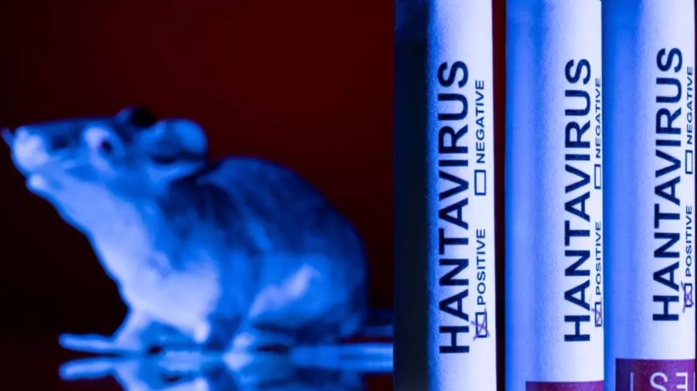 Hospitalizohen 22 rastet e kontaktit me pacienten e vdekur nga hantavirusi