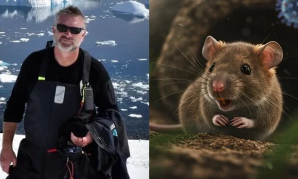 Flet i infektuari me hantavirus: Nuk e di sa do të qëndroj në spital