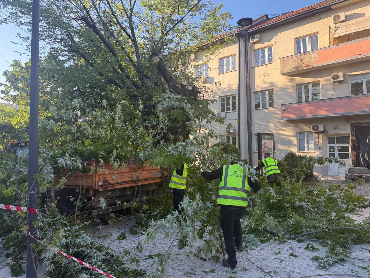 Erërat e forta, 17 raste të invervenimeve në Prishtinë e Fushë Kosovë