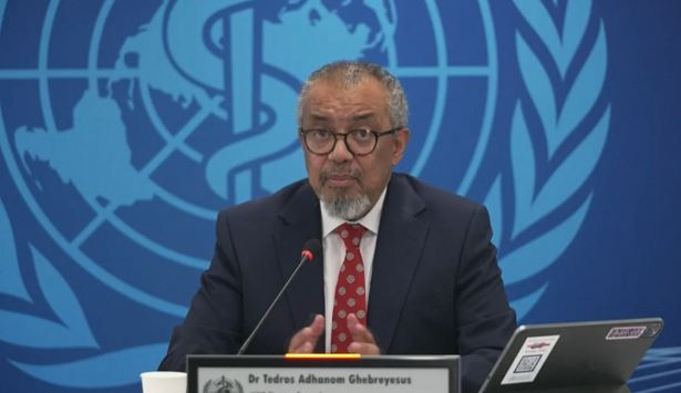 OBSH: Numri i rasteve të konfirmuara të hantavirusit rritet në pesë