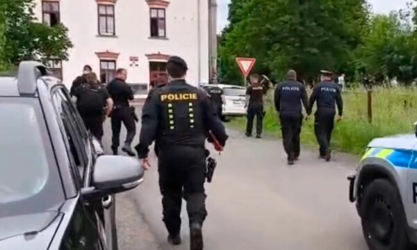 Tmerr në Çeki, gruaja 35-vjeçare akuzohet për vrasjen e fëmijës së saj të porsalindur, dyshohet se ua hodhi qenve!