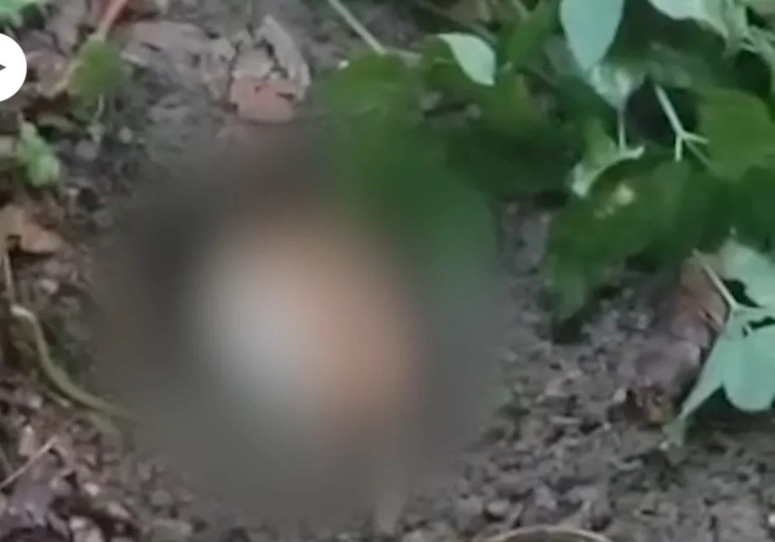 Gjenden mbetje mortore, dyshohet se janë të 23 intelektualëve të zhdukur nga Mitrovica