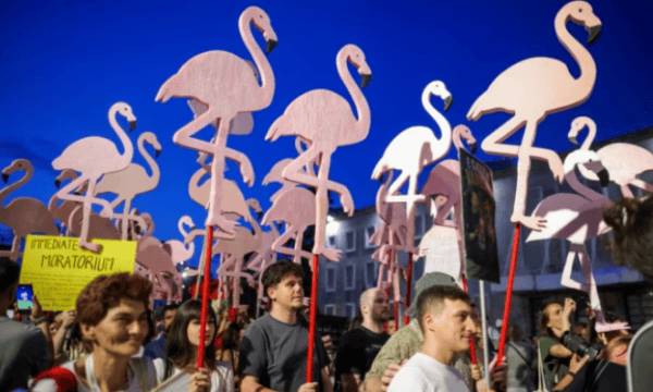 Nga rruga në Google: Si u kthyen vlerësimet online në armë proteste në Shqipëri?