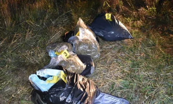 Sekuestrohen 9.4 kg substancë narkotike marihuanë në Popoc të Gjakovës, arrestohet një shtetas turk