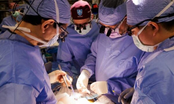 Veshka e transplantuar e derrit funksionoi te njeriu për një rekord prej 271 ditësh