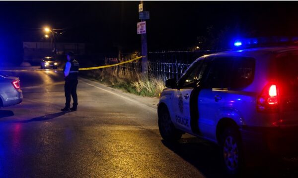 Dy pushkë, një pistoletë, 68 fishekë e 4 gëzhoja u sekuestruan në vendin ku ndodhi vrasja në Pogragjë të Gjilanit