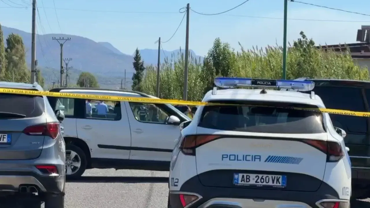 Të shtëna me armë zjarri në Kamëz, dy të vdekur, arrestohet autori